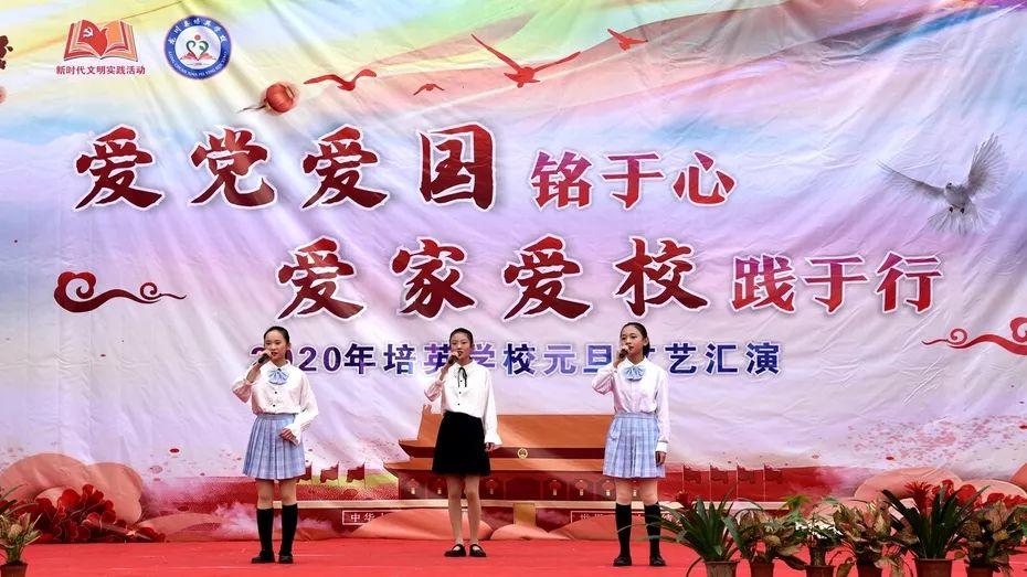 救援小棕兔